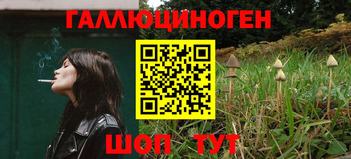 Галлюциногенные грибы MAGIC MUSHROOMS  Вход с VPN  Городец 